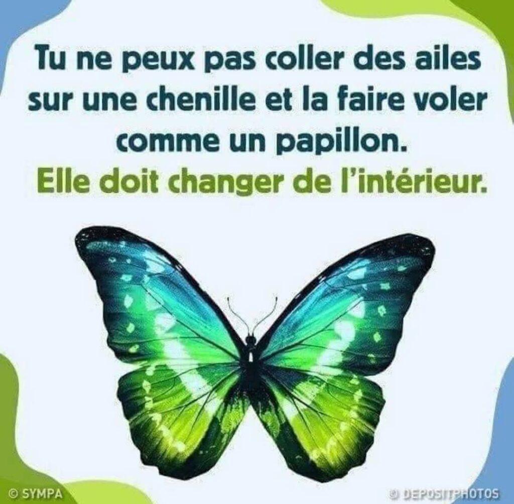Transitions de vie : accepter et vivre le changement